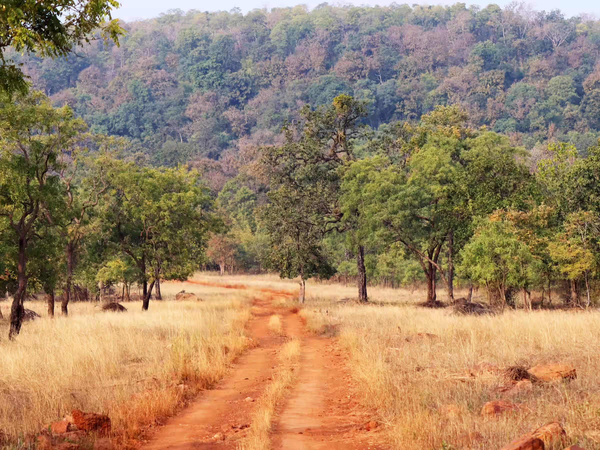 Tiger Trails of India private itinerary