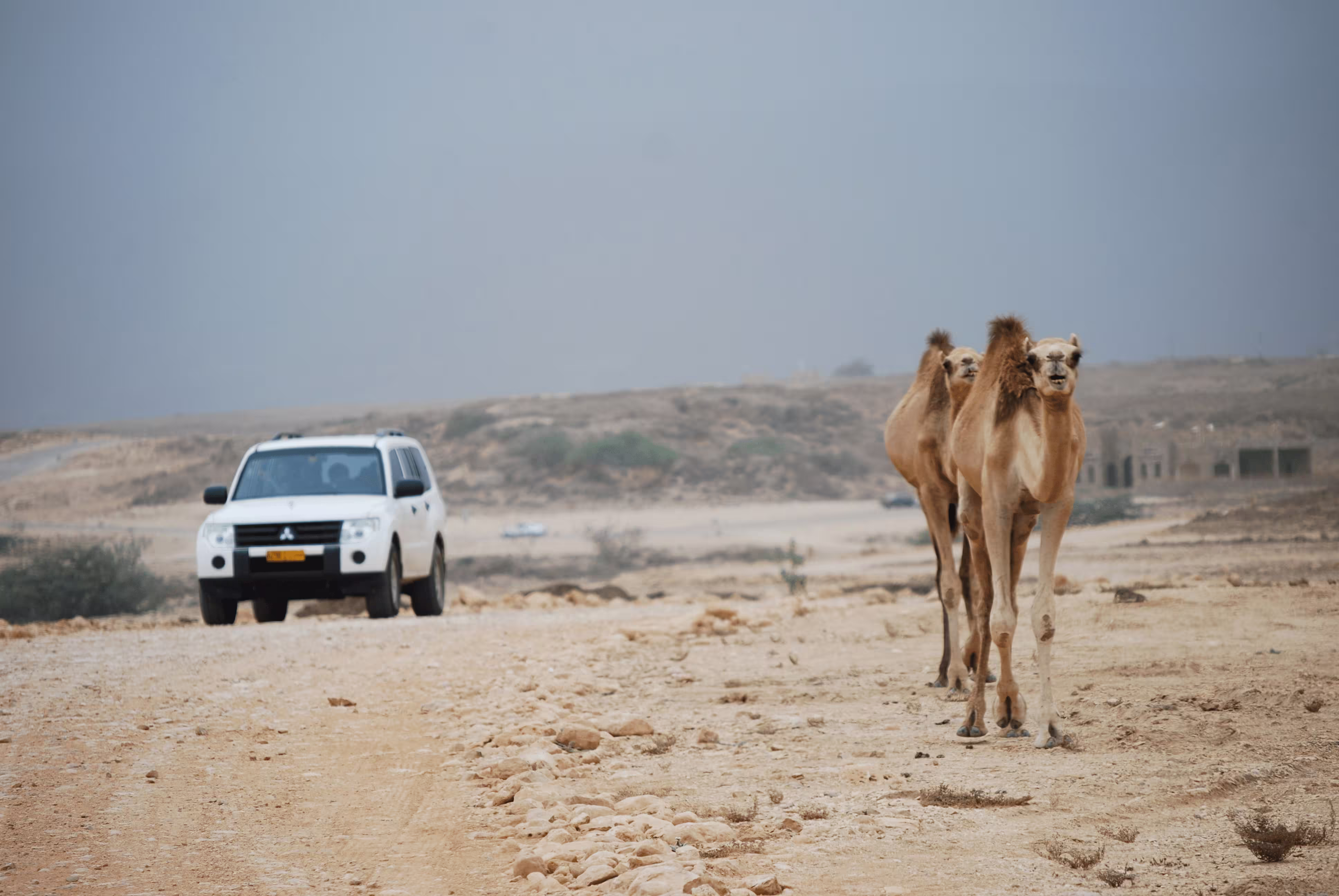 A desert landscape in Oman