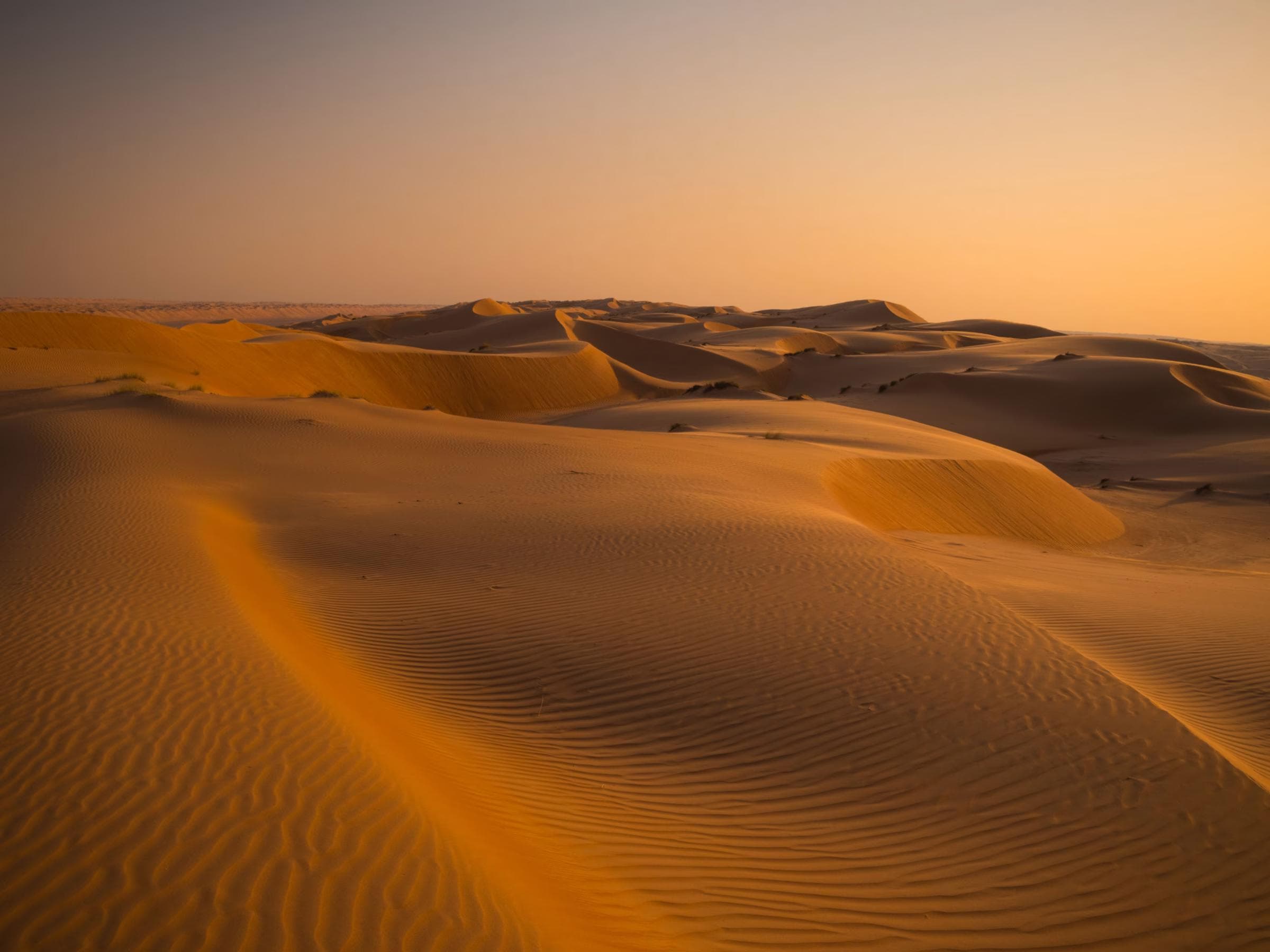 Wahiba Sands