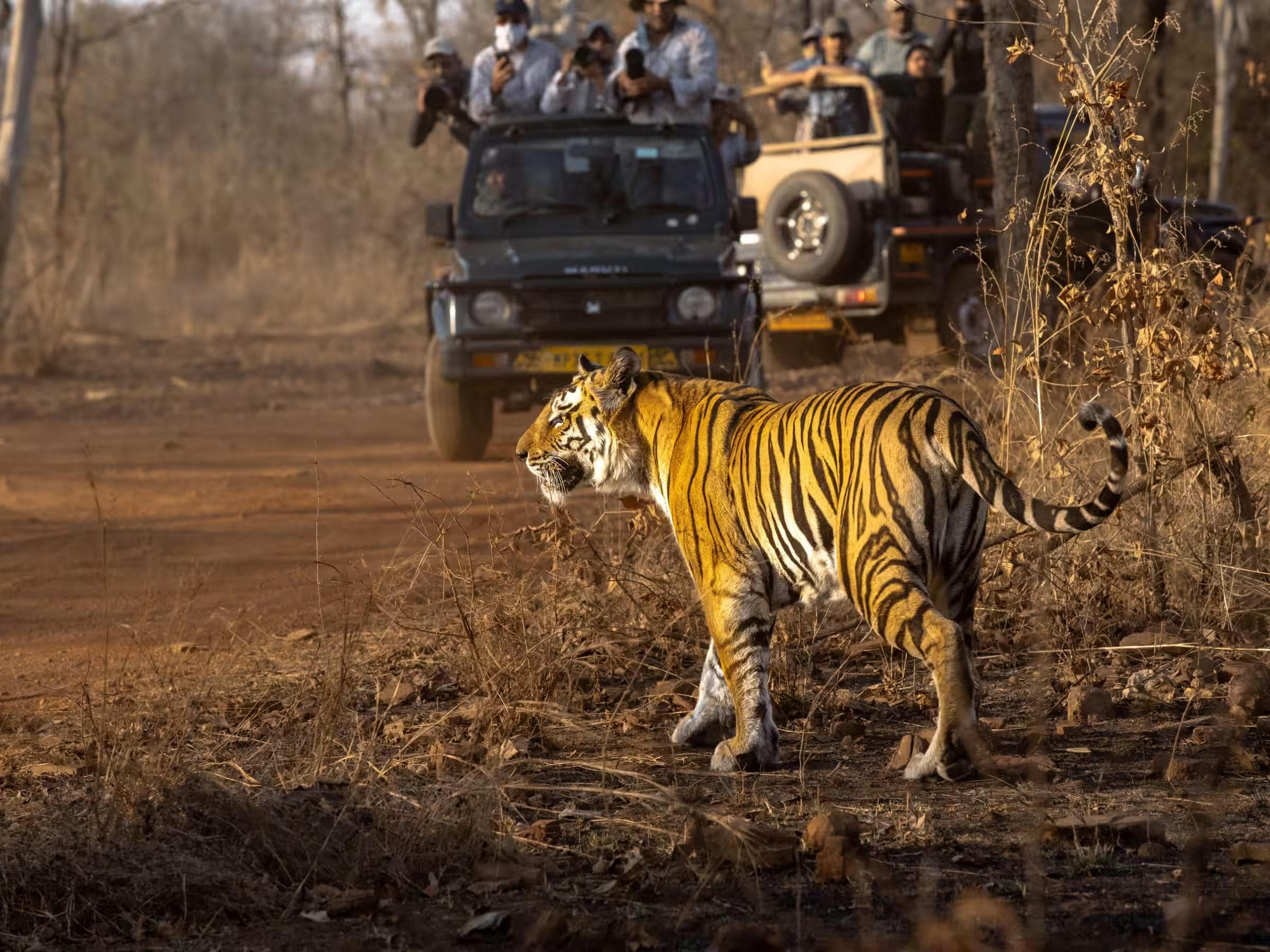 Itinéraire privé Aventure familiale en Inde