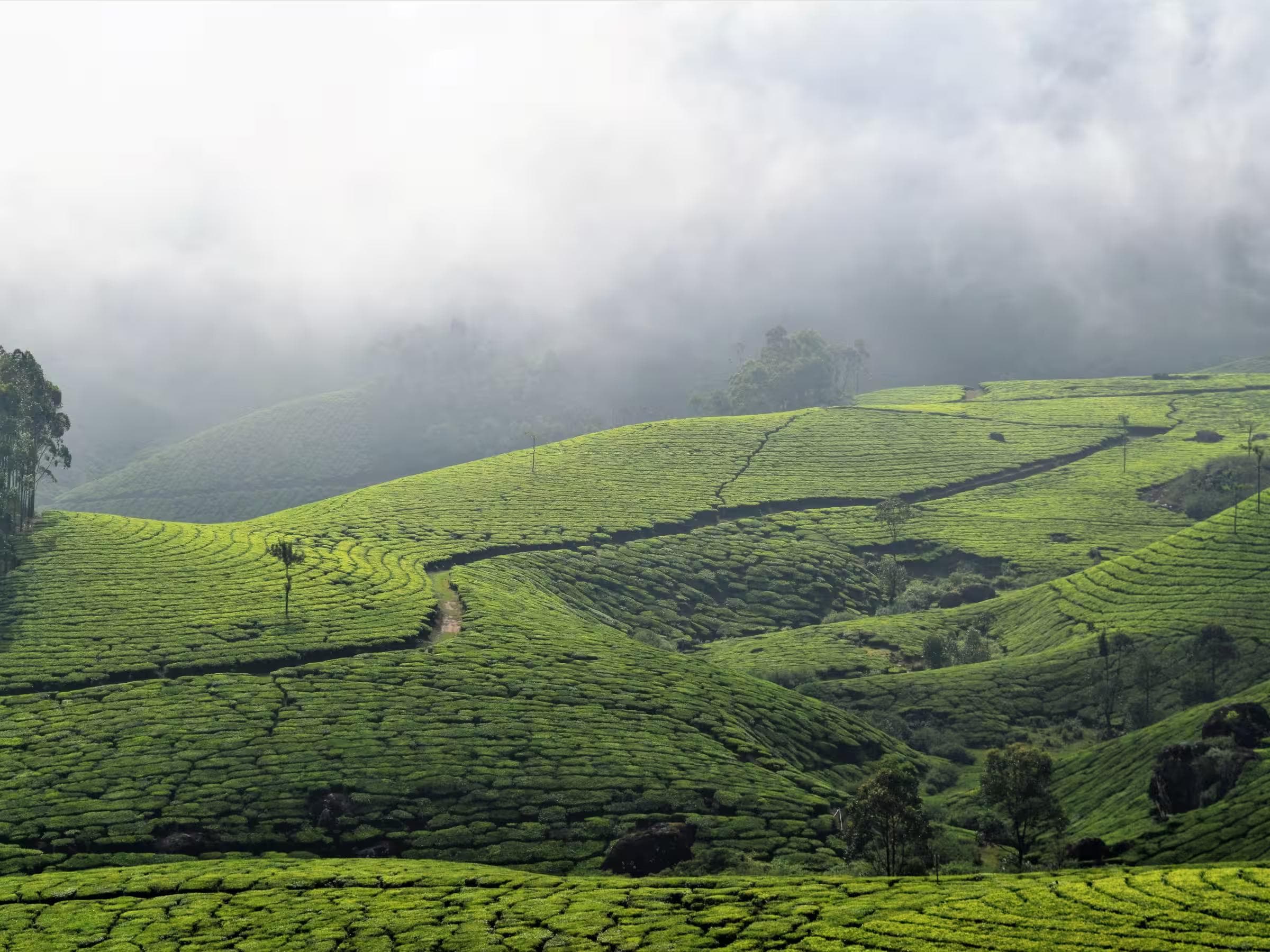 Munnar