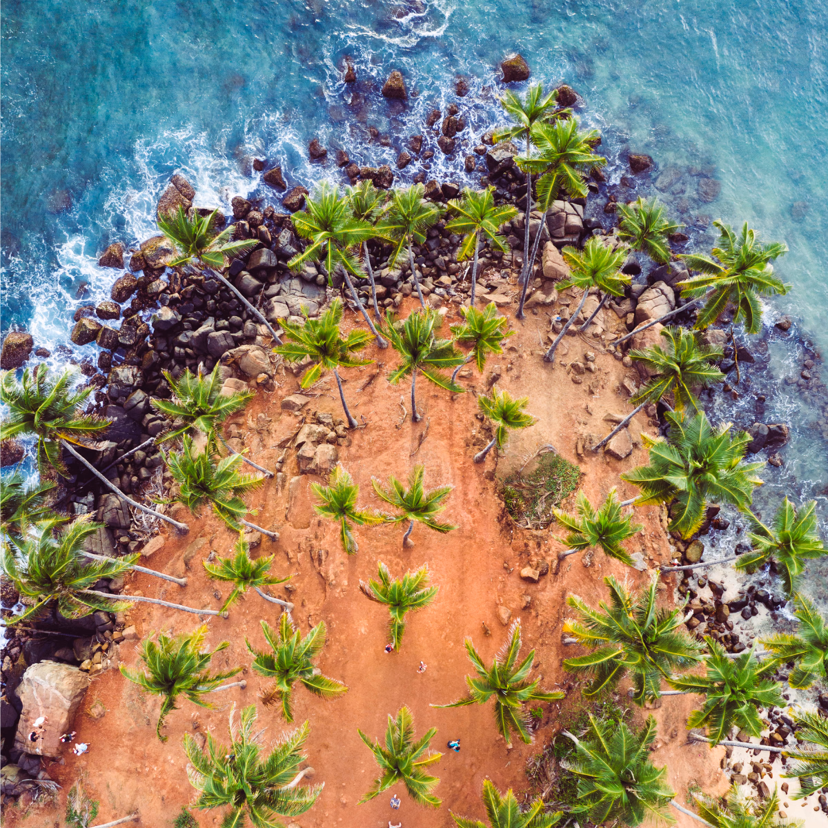 Ein heller tropischer Strand bei Mirissa in Sri Lanka